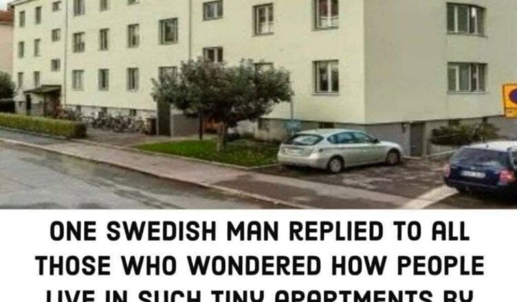 One Swedish man replied to all those who wondered how people live in ...
